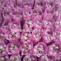 /msite/products/detail/productid/59942387/id/542998.html